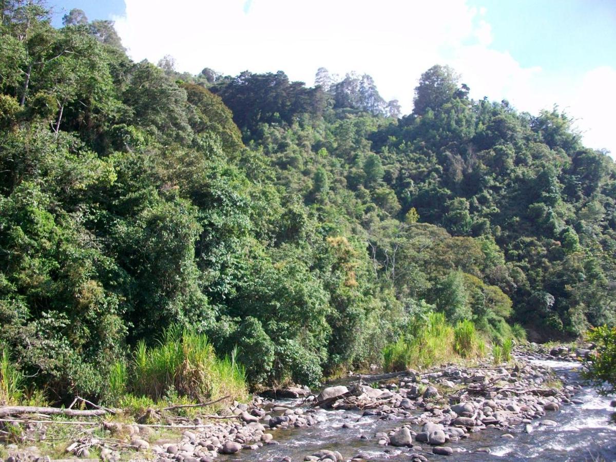 Kasaguadua - Reserva Natural Саленто Экстерьер фото